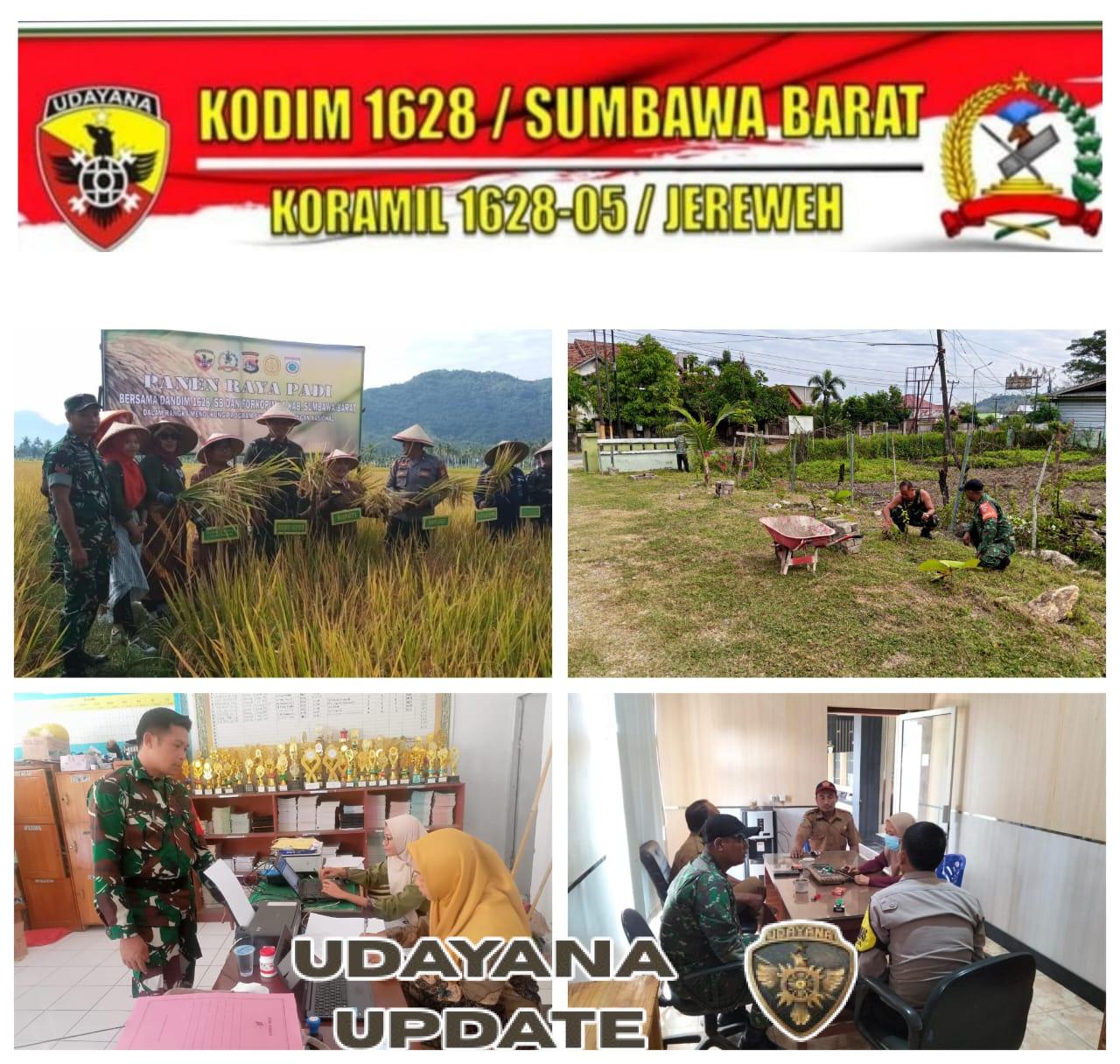 Koramil 1628-05/Jereweh Laksanakan Panen Raya dan Pembenahan Pangkalan di Hari yang Sama