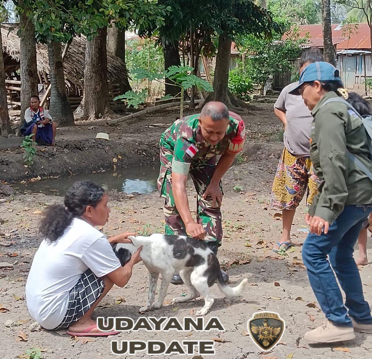 Babinsa Serka Legius Ludji Leo Bersama Petugas Vaksin Hewan di TTU