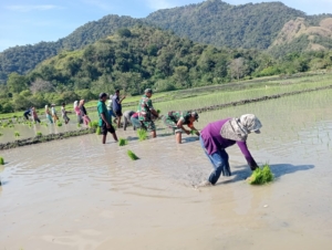 Babinsa Kodim 1602/Ende Laksanakan Hanpangan dan Komsos di Desa Keliwumbu