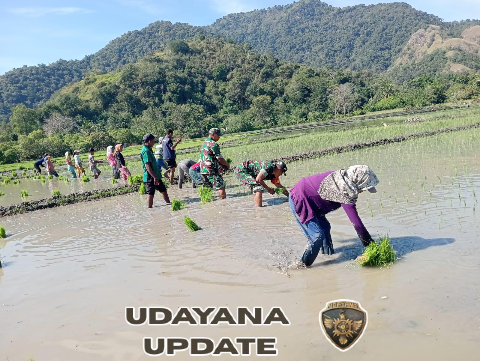 Babinsa Kodim 1602/Ende Laksanakan Hanpangan dan Komsos di Desa Keliwumbu