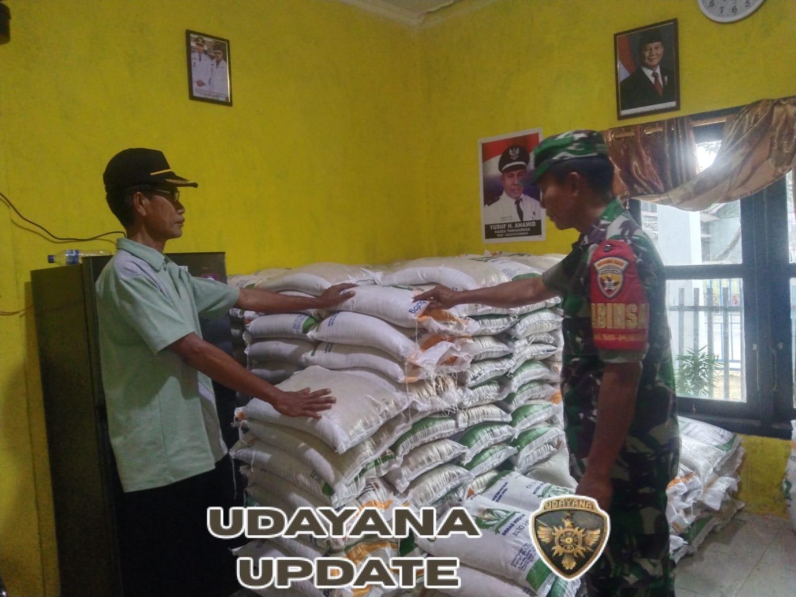 Pendampingan Pembagian Beras Bantuan di Desa Padolo Dilakukan Babinsa Koramil Woha