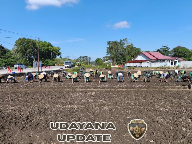Wujudkan Kemandirian Pangan, Kodim 1613/Sumba Barat Gelar Tanam Bawang Perdana