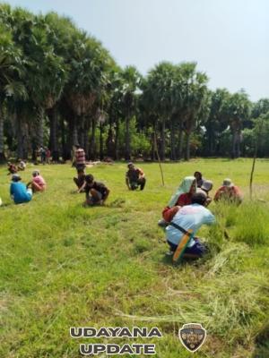 Babinsa Koramil Naikliu Ajak Warga Hidupkan Semangat Gotong Royong