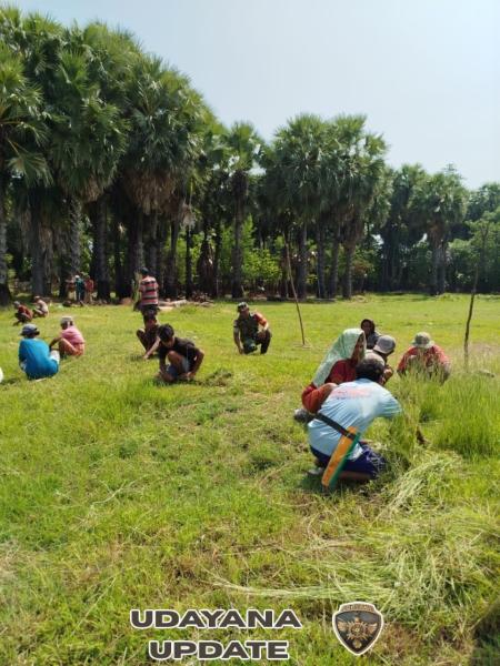 Babinsa Koramil Naikliu Ajak Warga Hidupkan Semangat Gotong Royong