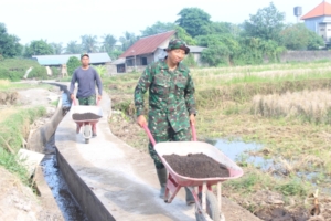 Babinsa Batuan Tak Hanya Kawal, Tapi Juga Gotong Royong Bersama Warga Bangun Jalan Tani