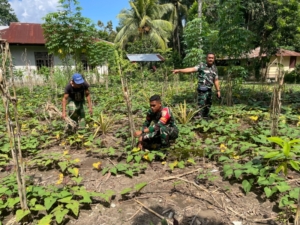TNI AD Perkuat Sinergi dengan Warga melalui Hanpangan dan Pamwil di Desa Ondorea