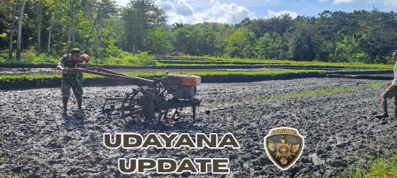 Babinsa Karera Dampingi Petani Bajak Sawah dengan Traktor di Desa Kakaha