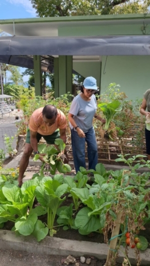 Bukti Nyata Bahwa di NTT, Kalau ada keinginan Pasti Bisa, Ayo Manfaatkan Lahan Tidur untuk tanam sayuran.