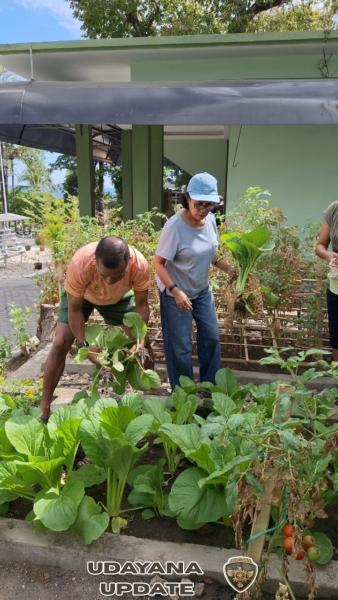 Bukti Nyata Bahwa di NTT, Kalau ada keinginan Pasti Bisa, Ayo Manfaatkan Lahan Tidur untuk tanam sayuran.