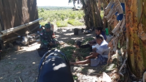 Pendampingan Kepada Petani, Babinsa Wujud Peran Babinsa Sukseskan Ketahan Pangan