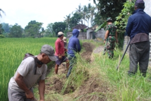 Babinsa Turun Langsung ke Lapangan, Wujudkan Jalan Tani untuk Warga Desa Batuan