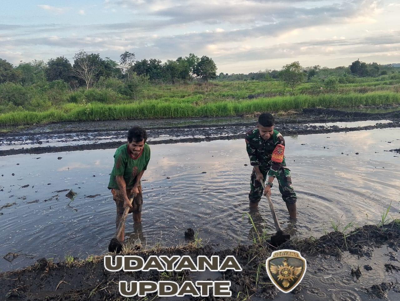 Babinsa Pratu Anton Terjun Langsung Siapkan Lahan Sawah Milik Warga