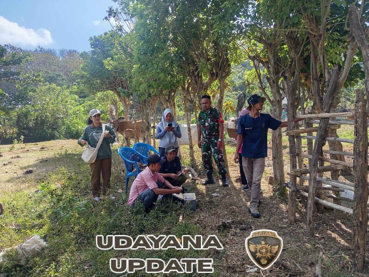 Babinsa Mbawi Kawal Vaksinasi PMK di Dusun Owo