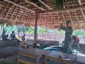 Babinsa Desa Motadik Bantu Perbaikan Atap Rumah Adat sebagai Wujud Kepedulian