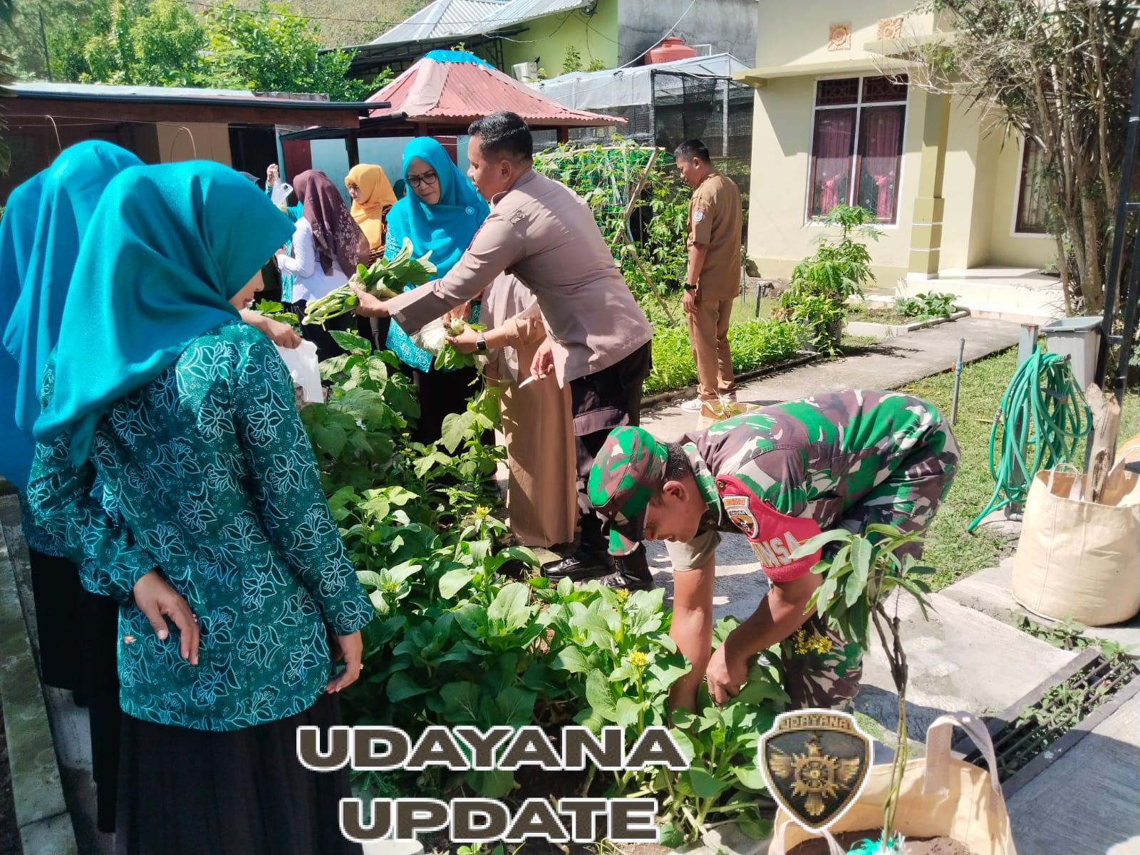 Babinsa Koptu Sufyan Dampingi Penilaian Kebun PKK “Aku Hatinya PKK” di Sekongkang Atas