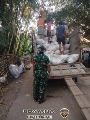 Koramil 1614-01 Dompu Kawal Penyerapan Gabah Petani oleh Bulog