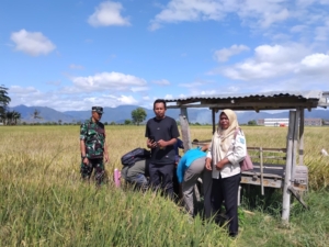 Petani Desa Talabiu Berterima kasih Kepada Babinsa Karena Bantuan Sumur Bor