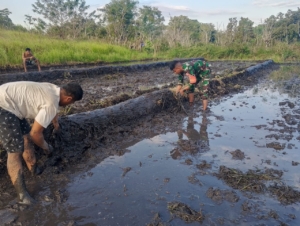 Babinsa Pahunga Lodu Bantu Petani Buat Pematang Sawah