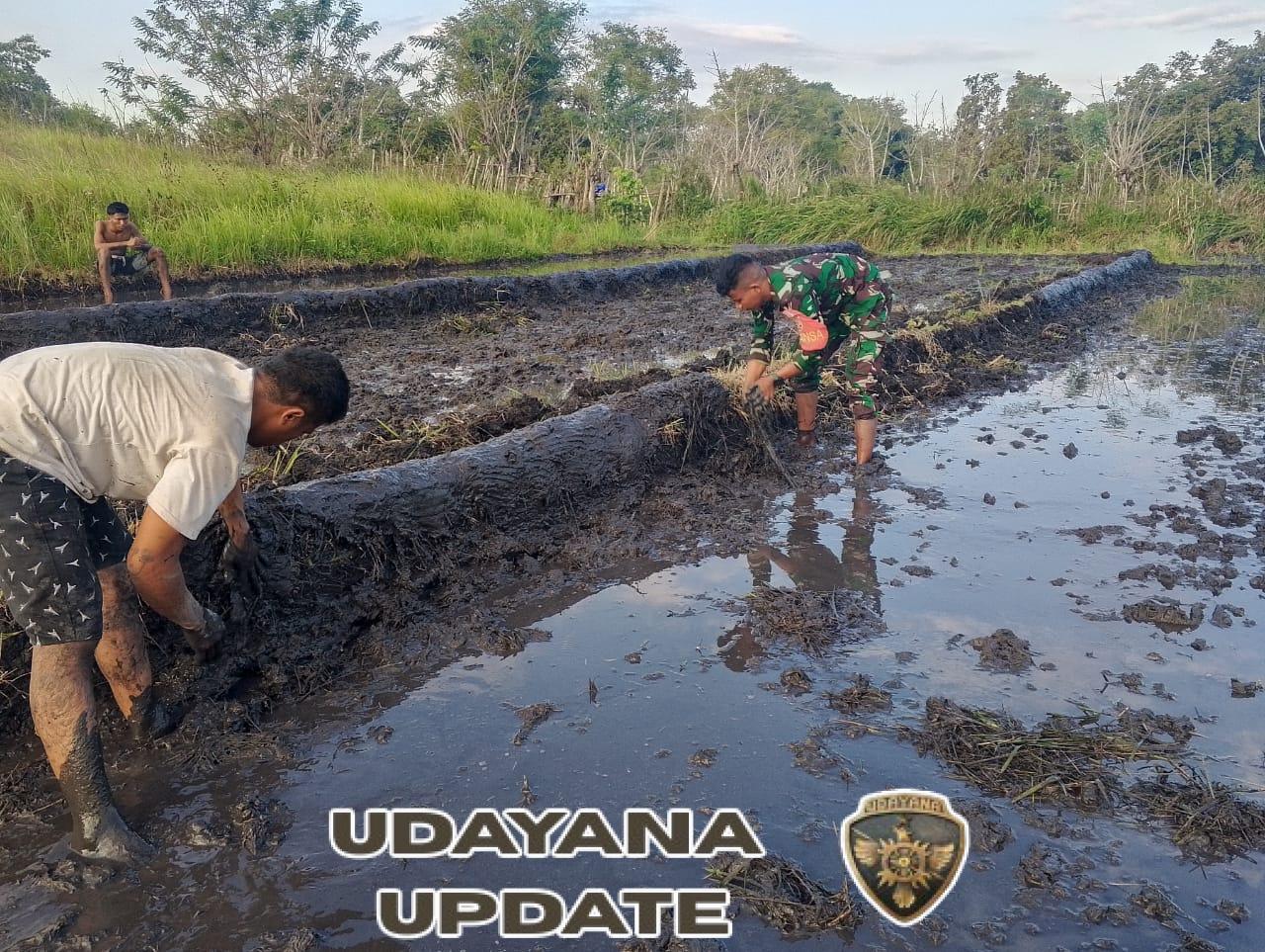Babinsa Pahunga Lodu Bantu Petani Buat Pematang Sawah