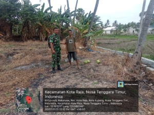 Babinsa Aktif Kawal Pertanian Wujudkan Ketahanan Pangan