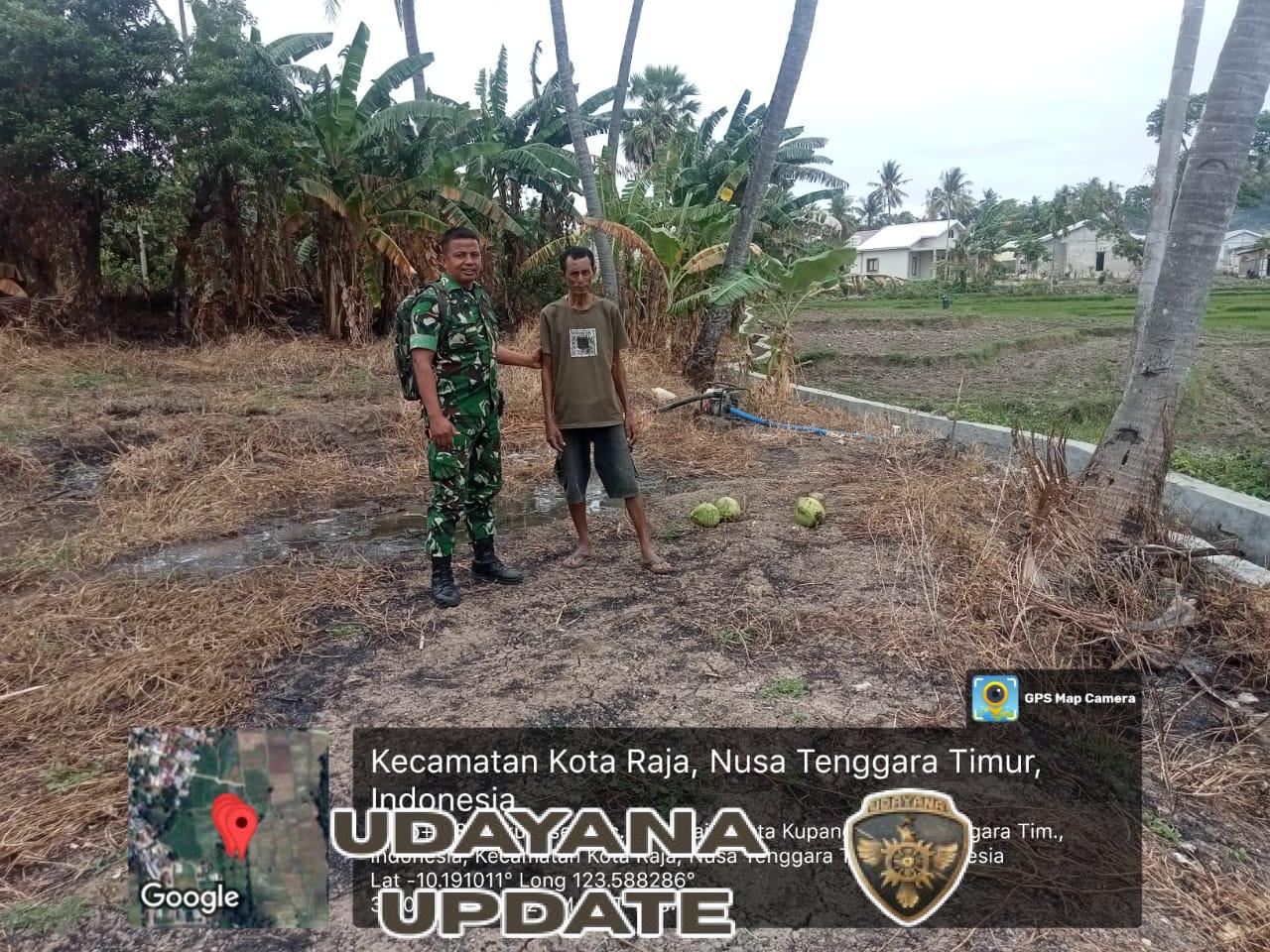 Babinsa Aktif Kawal Pertanian Wujudkan Ketahanan Pangan