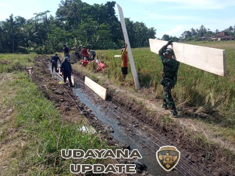 Di Hari ke-8 TMMD, Dan SSK Terjun Langsung Pastikan Kualitas Jalan Usaha Tani