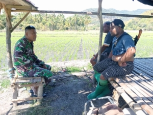 Komunikasi Tanpa Sekat: Babinsa Bangun Kedekatan Lewat Dialog Santai di Desa