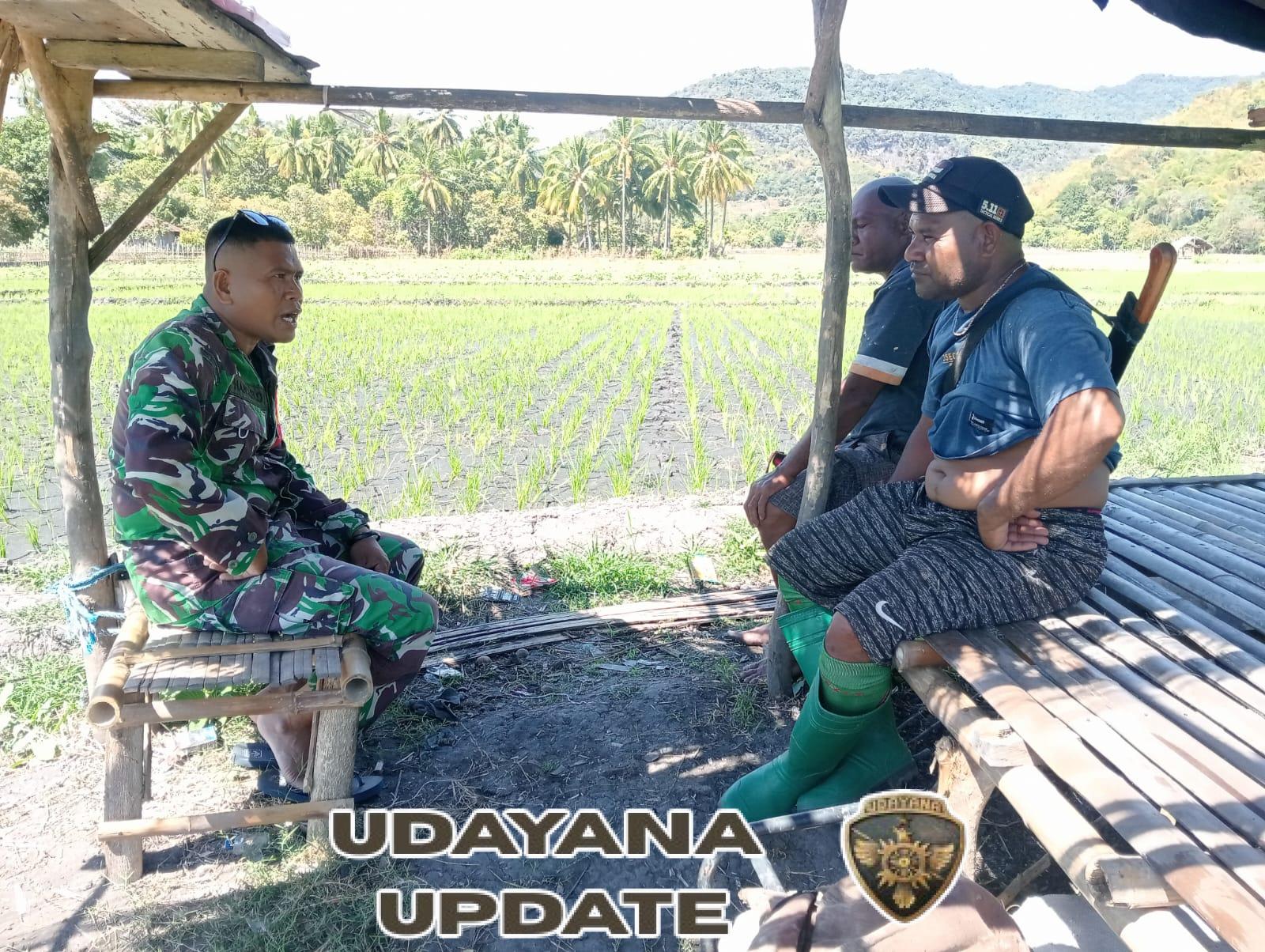 Komunikasi Tanpa Sekat: Babinsa Bangun Kedekatan Lewat Dialog Santai di Desa