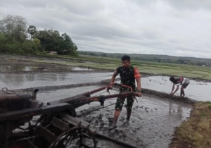 Kodim 1601/Sumba Timur Bantu Percepat Olah Lahan Pertanian di Kaliuda