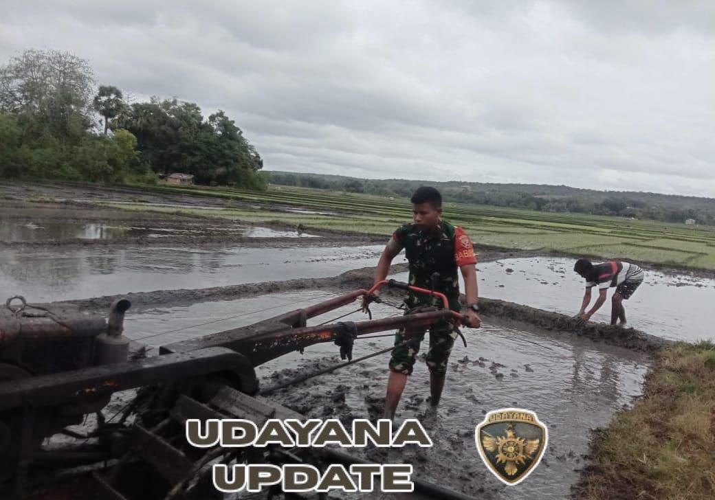 Kodim 1601/Sumba Timur Bantu Percepat Olah Lahan Pertanian di Kaliuda