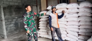 Peduli Petani, Babinsa Banjarangkan Turun Langsung Monitoring Stok Dan Distribusi Pupuk Aman Dan Lancar