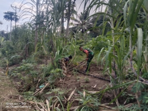 Babinsa Kodim 1602/Ende Pererat Kemanunggalan dengan Petani Tebu