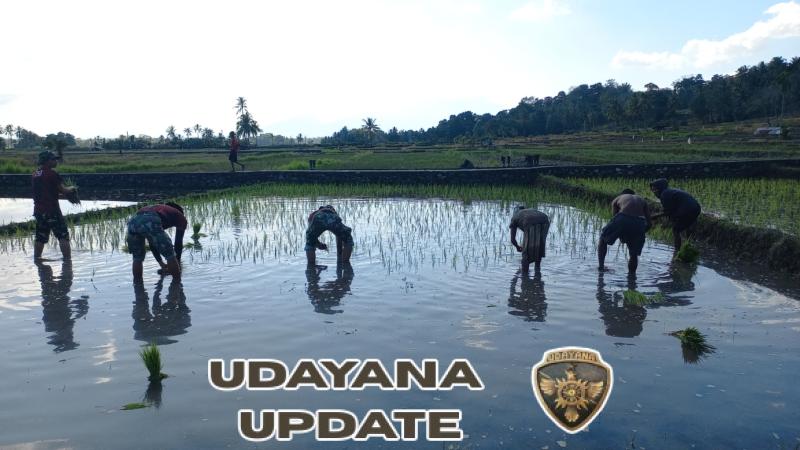 Satgas Yonif 741/GN Dukung Masyarakat Tanam Padi di Pos Maubusa