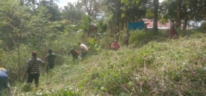 Babinsa Koramil 1618-02/Miobar Jadi Penggerak Pertanian Rakyat di Miomaffo Barat