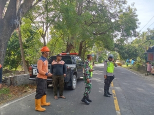 Babinsa dan Bhabinkamtibmas Kawal Penebangan Pohon oleh DLH Demi Kelancaran Lalu Lintas