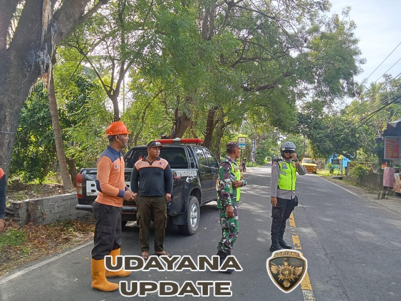 Babinsa dan Bhabinkamtibmas Kawal Penebangan Pohon oleh DLH Demi Kelancaran Lalu Lintas