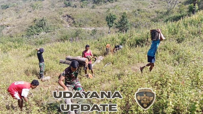 Pos Fohuk Satgas Yonif 741/GN Dukung Kegiatan Adat Dengan Gotong Royong Siapkan Kayu Bakar Bersama Pemuda Desa