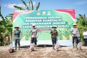Dukung Program Pangan Nasional, Kasdam IX/Udayana Turun Langsung Tanam Jagung