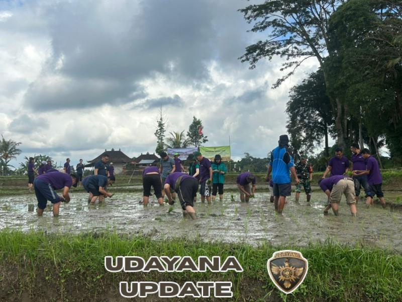 Sinergi Babinsa dan Petani Gianyar Dorong Percepatan Luas Tambah Tanam Padi