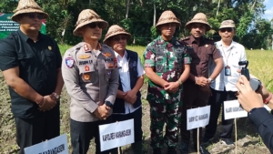 Sinergi Dandim Karangasem dan Forkopimda Dukung Ketahanan Pangan Lewat Tanam Jagung