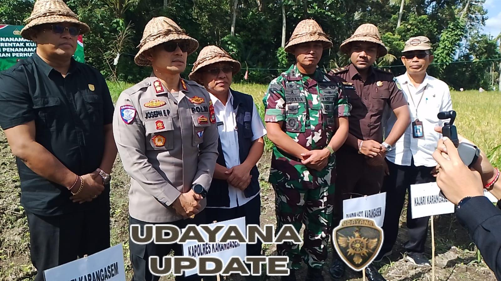 Sinergi Dandim Karangasem dan Forkopimda Dukung Ketahanan Pangan Lewat Tanam Jagung