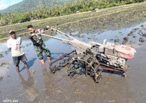 Babinsa Kodim 1602/Ende Gelar Komsos dan Pamwil, Dorong Produktivitas Pertanian
