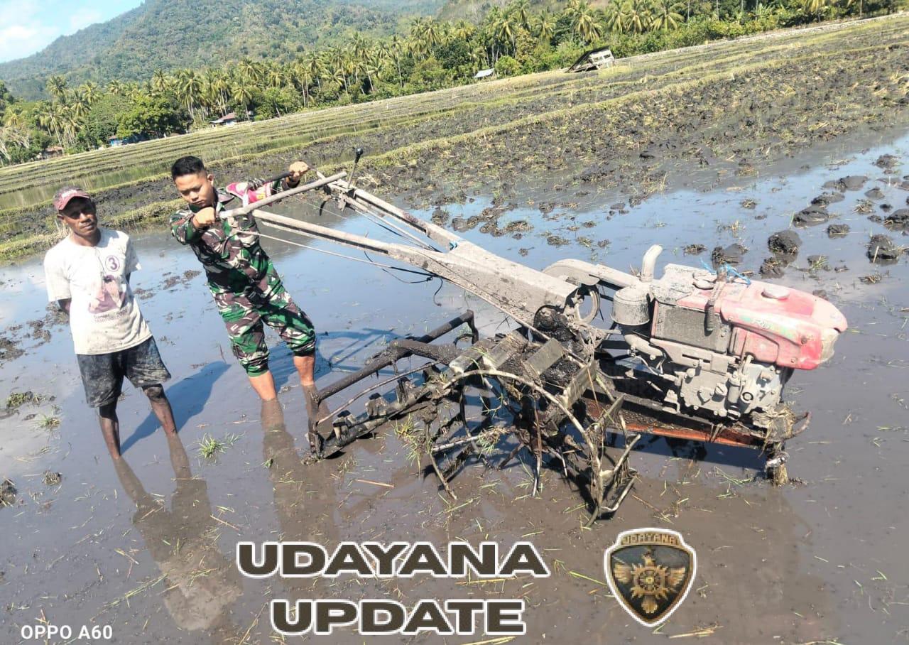 Babinsa Kodim 1602/Ende Gelar Komsos dan Pamwil, Dorong Produktivitas Pertanian