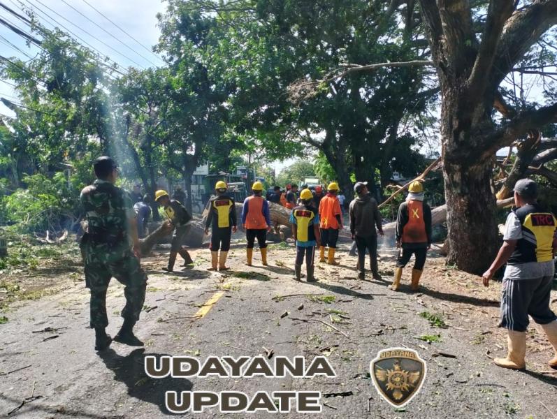 Wujud Sinergi Lintas Sektor, Babinsa Kalianget Kawal Pemangkasan Pohon Demi Keselamatan Warga.