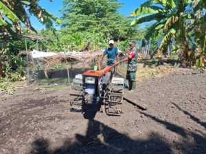 Turun ke Lapangan, Babinsa Dorong Petani Segera Lakukan Pembibitan dan Pemupukan