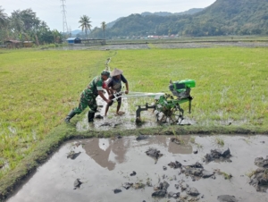 Sertu Denis Fernandes Bersama Kelompok Tani Naga Mas Laksanakan Kegiatan Han Pangan di Kecamatan Kotabaru