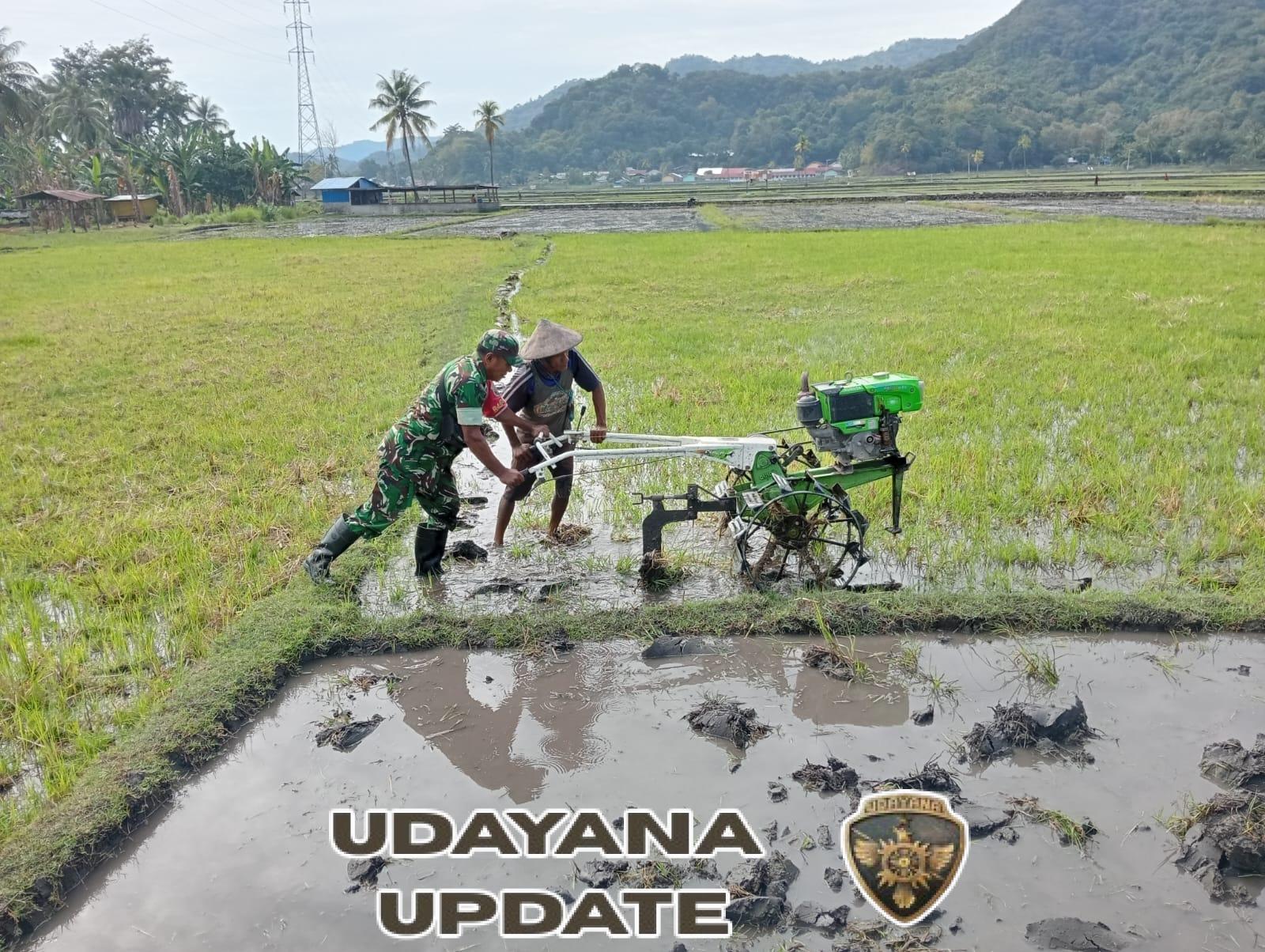 Sertu Denis Fernandes Bersama Kelompok Tani Naga Mas Laksanakan Kegiatan Han Pangan di Kecamatan Kotabaru