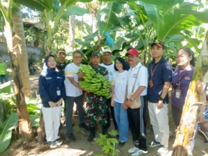 Danramil 1609-02/Kubutambahan ( Lettu Arh  Putu Darma S. A Md)  ikut langsung dalam Kegiatan penyerahan bibit dan penanaman pisang Cavendish secara simbolis oleh Institut Teknologi Bandung (ITB)