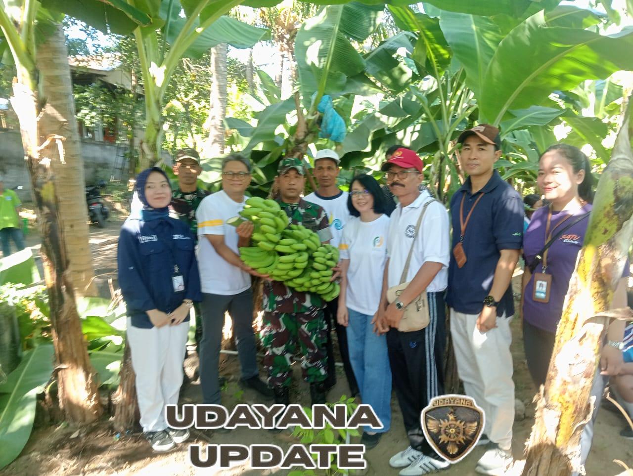 Danramil 1609-02/Kubutambahan ( Lettu Arh  Putu Darma S. A Md)  ikut langsung dalam Kegiatan penyerahan bibit dan penanaman pisang Cavendish secara simbolis oleh Institut Teknologi Bandung (ITB)
