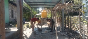 Dekat dengan Rakyat, Babinsa Sertu Albino Leki Bantu Rehab Rumah Bapak Minggus